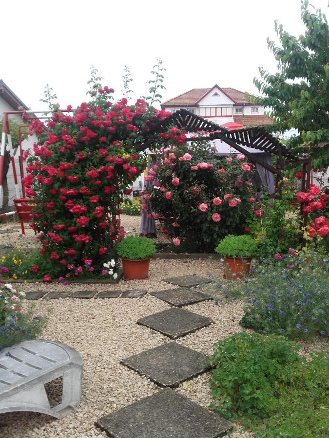 Casa Ellamy Otel Două Mai Dış mekan fotoğraf